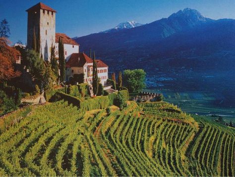 Merano Italy, Travel Guide Design, Wine Country Travel, Italy Landscape, Italian Alps, South Tyrol, Famous Places, Romantic Travel, Hotels Design