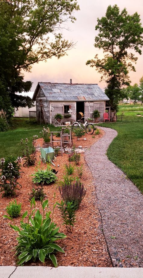 The pathway to the chicken coop needed something,  it was just blah. So we added this perrenial garden for pops of color throughout all four MN seasons! Farmhouse Landscaping, Chicken Garden, Chicken Diy, Garden Pathway, Chicken Coop, Coop, Cottage Garden, Country House, Farmhouse