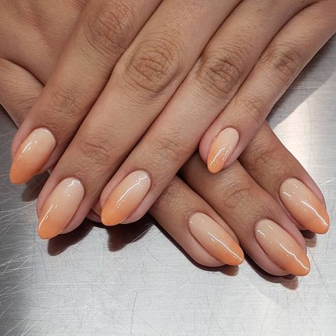 Peach Ombre Nails, K Nails, Orange Ombre Nails, Baby Boomers Nails, Nail Glam, Pedi Ideas, Peach Nails, Ombre Nail, Ombre Nail Designs