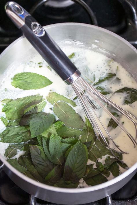 Spearmint Ice Cream, How To Make Mint Ice Cream, Mint Chocolate Chip Gelato Recipe, Mint Chip Ice Cream Recipe, Ice Cream Base Recipe, Fresh Mint Ice Cream, Mint Ice Cream Recipe, Using Fresh Mint, Auction Decorations