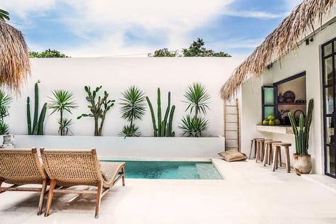 OBAO : un petit paradis tropical à Seminyak - Villas à louer à Seminyak, Bali, Indonésie - Airbnb Spanish Villa Garden, Tropical Mediterranean Garden, Bali Villa Aesthetic, Bali Aesthetic Villa, Pool Scaping, Tropical Villa Design, Bali Gardens, Tropical Mediterranean, Tropical Minimalist