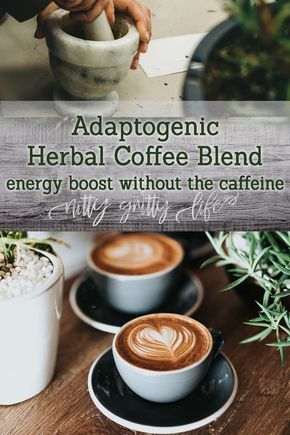 Herbal Coffee Recipe, Bitter Herbs, Ancient Remedies, Herbal Coffee, Coffee Substitute, Tea Drinks, Common Knowledge, Healing Foods, Coffee Alternative