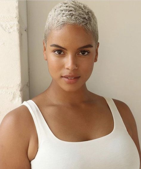 Step The Barber Haircut Women, Blonde Bald Fade Women Black, Professional Summary For Resume, Professional Summary, Short Platinum Blonde Hair, Resume Summary Examples, Short Shaved Hairstyles, Tapered Natural Hair, Short Silver Hair