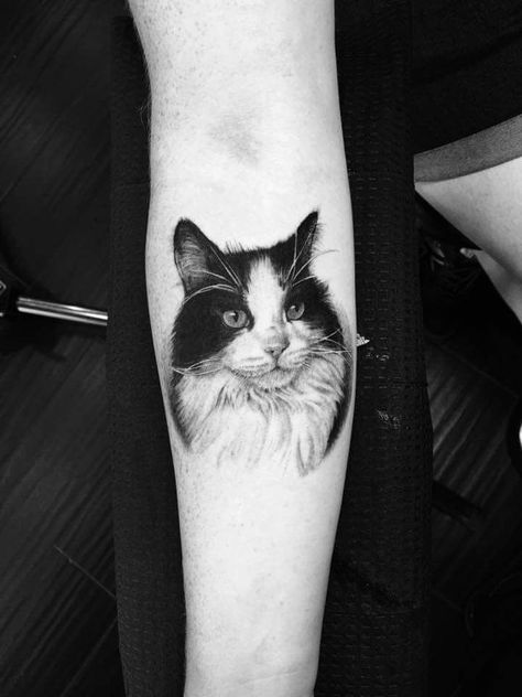 #CatTattoo#CatInk#InkMeow#FelineTattoo#CatArt#TattooedCats#MeowInk#CatLoversTattoo#PurrmanentInk#TattooedFelines#CatTattooDesign#WhiskerInk#TattooedKitties#CatAndInk#TattooedPaws#Cattoo#InkedKittens#CatTattooInspiration#InkWhiskers#PawsAndInk Cat Lover Tattoo, Cat Face Tattoos, Cat Portrait Tattoos, Side Hip Tattoos, Cat Tattoo Simple, Tattoo Design Tattoo, Dog Memorial Tattoos, Tattoo Fails, Cat Tattoo Designs