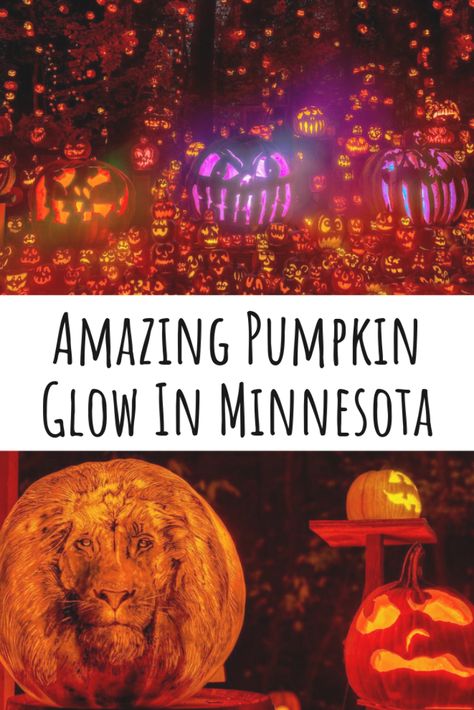 Jack O Lantern Spectacular, Inexpensive Dates, Glowing Pumpkin, Glow Pumpkin, Carved Pumpkins, Scandinavian Food, Northern Minnesota, Night Couple, Road Trip Adventure