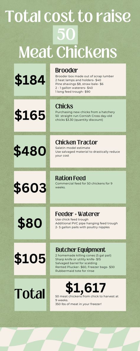 Complete cost breakdown for everything you need to raise your own meat chickens. From new baby chicks, to how much feed will cost for the entire 9 weeks- butchering set up and prices included.  The frugal options vs. the elaborate convenient route. Raising Chickens For Meat, Best Meat Chickens, Homesteading Chickens, Chicken Hacks, Chicken Business, Chicken Hut, Butcher Meat, Chicken Brooder, Chickens Farm