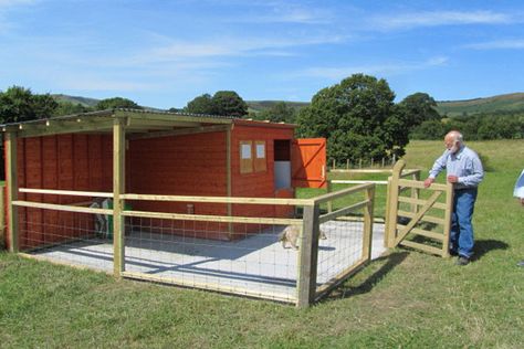 goat-housing-for-3 Goat Setup, Lamb Pen Ideas, Goat Corral, Goat Enclosure Ideas, Petting Zoo Ideas, Goat Enclosure, Goat Yard, Goat Housing, Sheep Barn