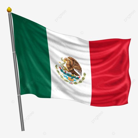 Mexican Flags, Mexico Flag, Cake Inspo, Flag, Collage, Cake, Pins, Quick Saves, Tela