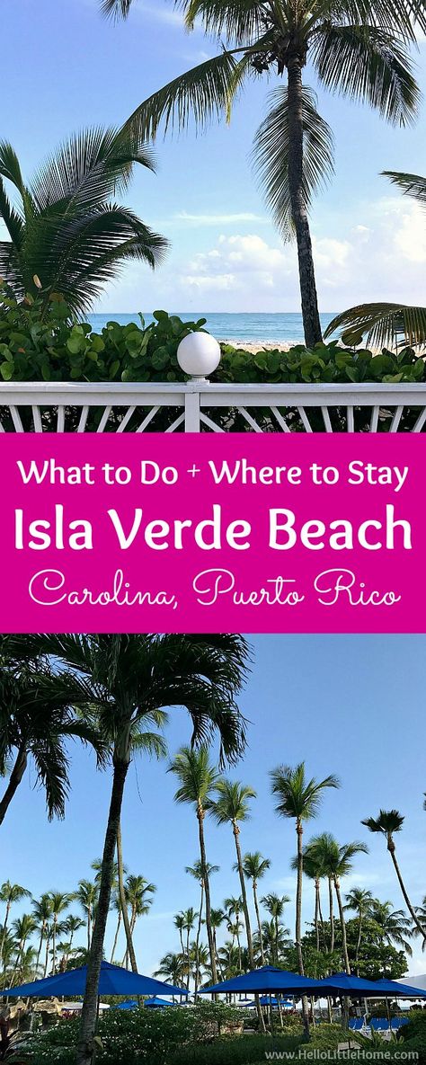 Take a trip to beautiful Isla Verde Beach in Carolina, Puerto Rico! This San Juan beach guide has all the best things to do on Isla Verde Beach, plus tips for places to stay in San Juan, Puerto Rico. Isla Verde Puerto Rico is the best place to sink your toes into the soft sand, gaze at the beautiful palm trees, and relax at the perfect beach resort in San Juan! | Hello Little Home #seepuertorico #sanjuan #carolinapuertorico #puertorico #puertoricobeach #sanjuanbeach #islaverdebeach Beach In Puerto Rico, Carolina Puerto Rico, San Juan Beach, Where Is Bora Bora, Best Island Vacation, Lanai Island, Fiji Travel, Puerto Rico Trip, Puerto Rico Vacation