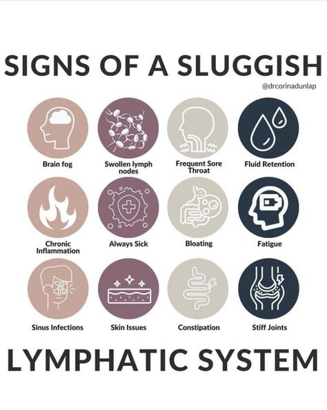 Lymph Drainage Massage, Immune Cells, Lymph Fluid, Lymph Massage, Lymph System, Progesterone Levels, Lymph Drainage, Healthy Hormones, Tongue Health