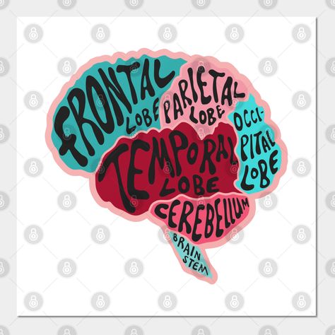 Brain Decorations Ideas, Brain Labeled Diagram Aesthetic, Brain Painting Acrylic, Brain Decorations, Brain Artwork, Brain Painting, Left Brain Right Brain, Anatomical Brain, Brain Poster