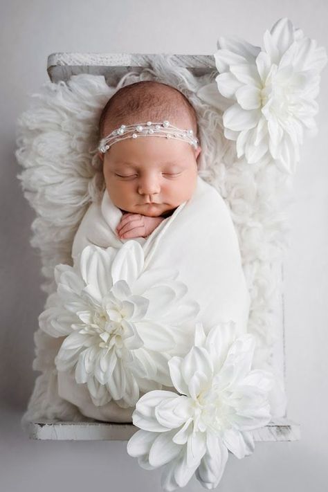 This was a newborn session I just recently had, with a full white theme. No pops of color, but I love how these images turned out. So elegant and beautiful. Themed Baby Photoshoot, Newborn Photoshoot, Baby Photoshoot, Newborn Session, Newborn Girl, Newborn Photos, Baby Photography, Sacramento, Baby Photos