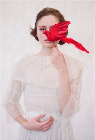 Photographie Portrait Inspiration, Feather Wings, Red Bird, Foto Art, 영감을 주는 캐릭터, 인물 사진, Red Wedding, Red Poppies, Editorial Fashion