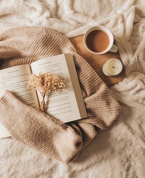 BookBub on Instagram: “Happy September! We're approaching 'good book, cozy sweater, and a fuzzy blanket season'! 🍂 What is one book that you are looking forward…” Cozy Sweater Aesthetic, Hygge Photography, Wfh Aesthetic, Psalm 5 3, Power In Prayer, Sweater Aesthetic, Cosy Vibes, Bookstagram Ideas, Happy September