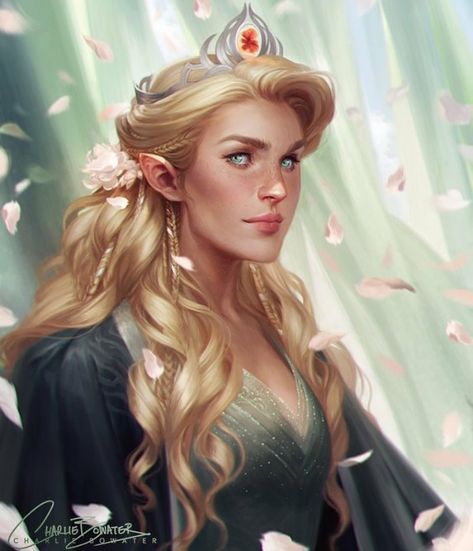 Aelin at her coronation KoA by Charlie Bowater Throne Of Glass Art, Drawing Training, Charlie Bowater, Kingdom Of Ash, Sarah Maas, Queen Of Shadows, Throne Of Glass Fanart, Aelin Ashryver Galathynius, Celaena Sardothien