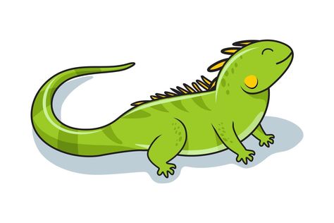 Iguana Illustration Cartoon Iguana Cartoon, Iguana Illustration, Iguana Drawing, How To Draw Animals, Alphabet Images, Draw Animals, Easy Doodles, Easy Doodles Drawings, Doodles Drawings