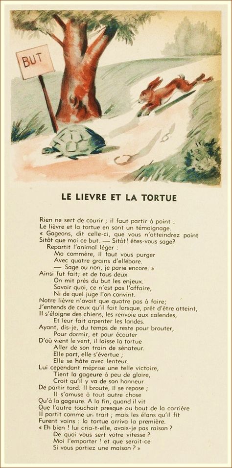 Le lièvre et la tortue | À la française … French Stories, French Language Basics, Fable Stories, School Memories, French Language, Kids Songs