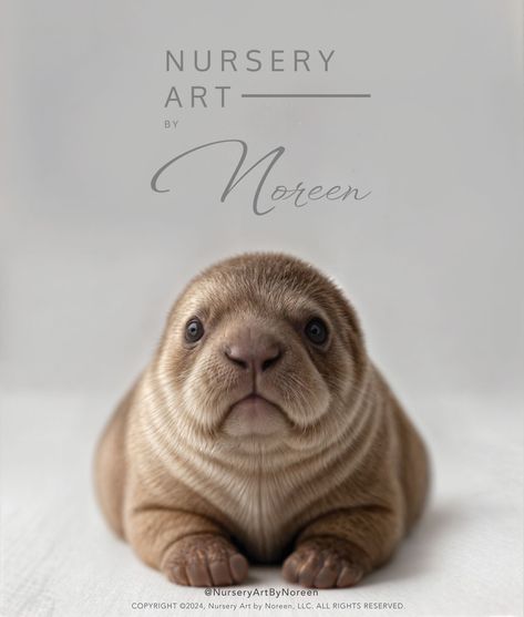 Fun fact... a baby walrus is called a calf and nursing usually takes place while in the water. This cute print from @NurseryArtByNoreen showcases the extremely soft brown fur that they are born with. #ArcticCollection #NurseryWallArt ❄ Baby Walrus, Brown Fur, Soft Brown, Fun Fact, Nursery Wall Art, Baby Animals, Nursing, Fun Facts, Funny Memes