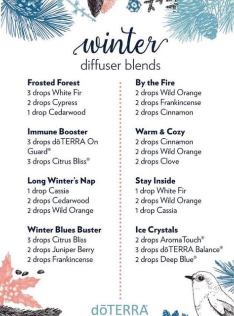 Winter Diffuser Blends, Doterra Diffuser, Doterra Diffuser Blends, Homemade Scrub, Winter Green, Diffuser Blend, Wild Orange, Essential Oil Diffuser Blends, Oil Diffuser Blends