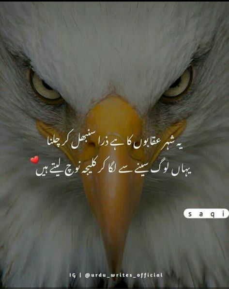 Bilkul😔 Urdu Poetry Ghalib, Poetry Famous, Inspirational Quotes In Urdu, Urdu Funny Poetry, Iqbal Poetry, Persian Poetry, Punjabi Poetry, Sufi Poetry, Beautiful Poetry