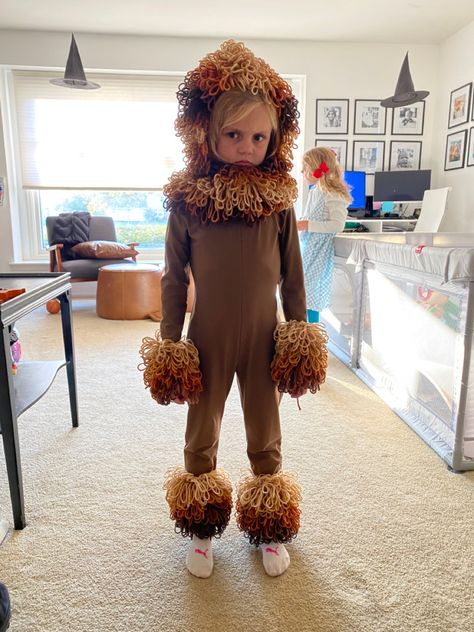 Lion King Costume, Lion Costume, Lion King Art, King Art, Halloween 2024, Lion King, Lion, Dress Up, Halloween