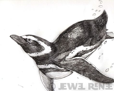 Drawings Of Penguins, Pencil Drawing Animals, Penguin Drawing Reference, Penguin Pencil Drawing, Penguin Drawing Realistic, Penguin Sketch Realistic, Penguin Sketch Cute, Penguin Pen Drawing, Penguin Swimming Drawing