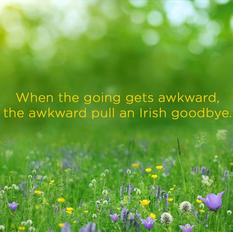 21 Proverbs For Introverts Personality Affirmations, Irish Goodbye, Irish Proverbs, Introverts Unite, Introvert Quotes, Irish Eyes Are Smiling, Irish Quotes, Irish Eyes, Irish Blessing