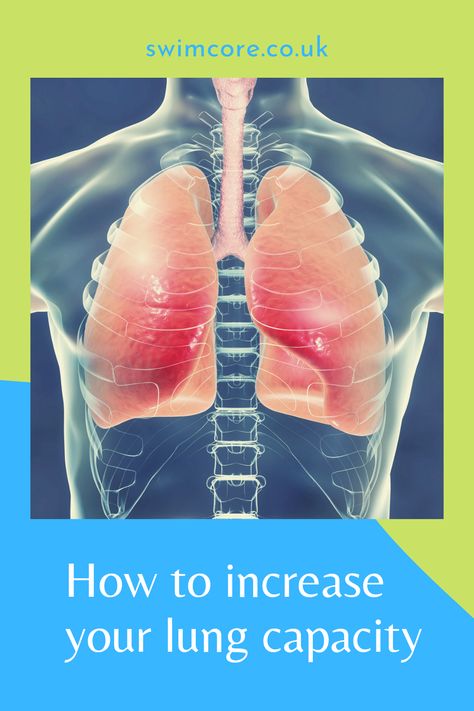 How to Increase Your Lung Capacity Bad Cough, Women Health Care, Delicious Gluten Free Recipes, Cleanse Your Body, Lungs, Swimmers, Healthy Mind, Research Paper, Nutrition Recipes