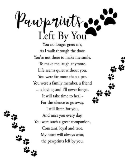 Missing My Pet Dogs, Poems For Losing A Dog, Missing My Puppy Quotes, Poems About Losing A Pet Cat, Rest In Peace Dog Quotes Pets, Grieve Dog Quotes, Losing My Dog Quotes, Loosing My Dog Quotes, Missing Pets Quotes Dogs