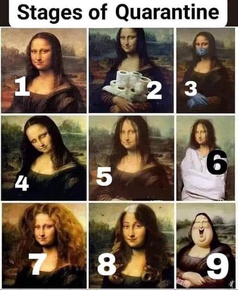 If Mona was quaritined - funny post - Imgur Fotografi Bawah Air, Koci Humor, Disney Jokes, Funny Animal Jokes, Morning Beautiful, Crazy Funny Memes, Memes Humor, Komik Internet Fenomenleri, Animal Jokes