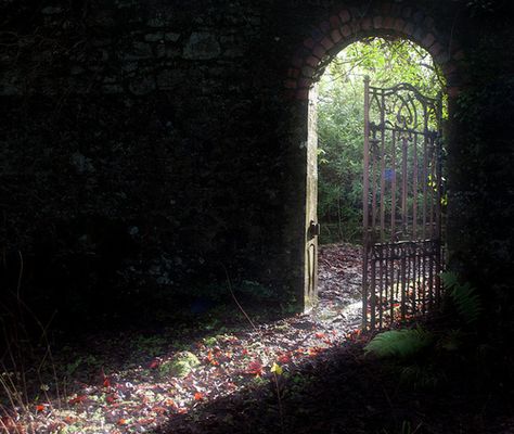 Creepy Room, Light Scenery, Garden Gate, Beautiful Doors, Garden Gates, Beautiful Scenery, Story Ideas, Coco Chanel, Secret Garden