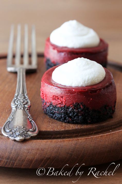 Mini Red Velvet Cheesecake Recipe - bakedbyrachel.com Velvet Desserts, Red Velvet Desserts, Red Velvet Recipes, Velvet Cheesecake, Red Velvet Cupcake, Red Velvet Cheesecake, Valentine Desserts, Food Cakes, Mini Desserts