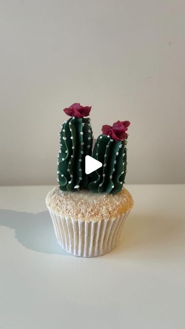 Alice Ward on Instagram: "A quick lil cactus reel 🌵   @nestle matchmakers are great for giving height to your buttercream cacti! A nice treat to discover when you are tucking in!  I use a 1G nozzle for these cacti 🌵 and a number 1 for the white dots.  . #cake#cupcakes#cactuscupcakes#succulentcupcakes#succulents#chocolate#cupcake#cupcakevideo#cupcakereel#pipingvideo#cakeinspo#funcupcakes#petalsbakehouse" Cactus Cupcakes Easy, Buttercream Cactus, Cactus Cupcakes, Succulent Cupcakes, Tall Cactus, Succulent Cake, Cactus Cake, Pot Cakes, Diy Cupcakes