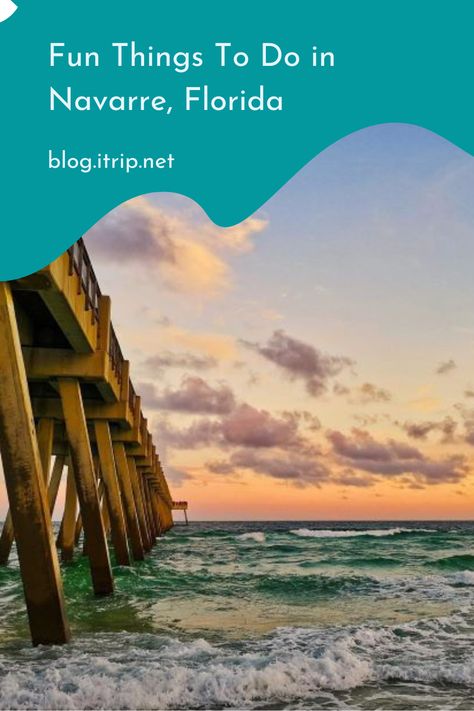 Navarre is known as a hidden gem. Keep reading to learn about the top Navarre attractions and things to do. Vacation 2025, Navarre Beach Florida, Beach Things, Turtle Conservation, Okaloosa Island, Navarre Beach, Public Golf Courses, Fishing Pier, Fort Walton Beach