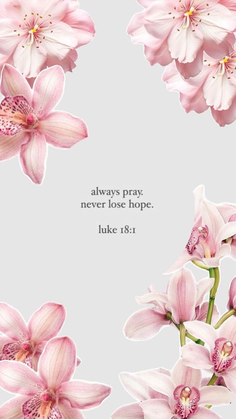 christian collage, “always pray, never lose hope” Luke 18:1 Always Pray Never Lose Hope, Cute Bible Verses, Christian Iphone Wallpaper, Always Pray, Scripture Wallpaper, Cute Bibles, Wallpaper Bible, Motivational Bible Verses, Christian Quotes Wallpaper