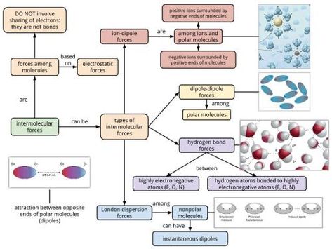 Intermolecular forces CMap Force Physics, Intermolecular Forces, Chemistry Basics, Mcat Study, Study Chemistry, Chemistry Classroom, Chemistry Notes, Pre Med, Microbiology