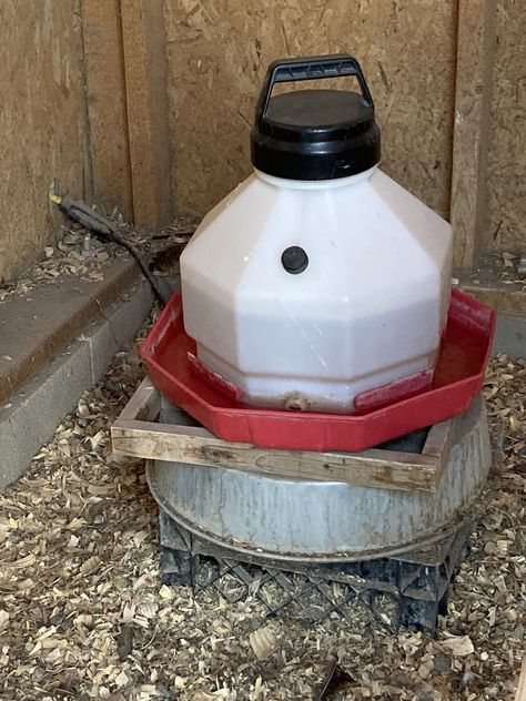 Use a standard heater base with a plastic waterer . . Chicken Water Heater, Heated Chicken Waterer, How To Raise Chickens, Chicken Waterer, Raise Chickens, Diy Chicken Coop, Water Reservoir, Backyard Chickens, Chicken Coops