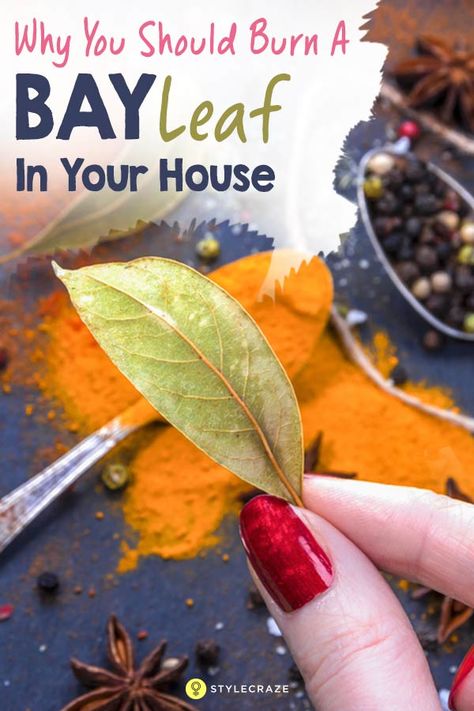 Burn a Bay Leaf in Your House. The Reason? You’ll be Amazed! Bay Leaf Benefits, Burning Bay Leaves, Hooded Eyelids, Eye Lift, Healthy Advice, Bay Leaf, Bay Leaves, Medicinal Herbs, Health Advice