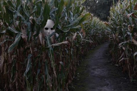 Halloween Fun in Bozeman - Montana Gift Corral Haunted Trail Ideas, Haunted Corn Maze, Haunted Maze, Haunted Woods, Haunted Hayride, Halloween Outside, Halloween Travel, Haunted Attractions, Haunted Forest