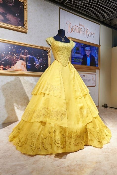 Princess Belle Dress, Belle Gown, Belle Dresses, Beauty And The Beast Costume, Quinceñera Dresses, Pretty Quinceanera Dresses, Disney Princess Dresses, Belle Dress, Princess Ball Gowns