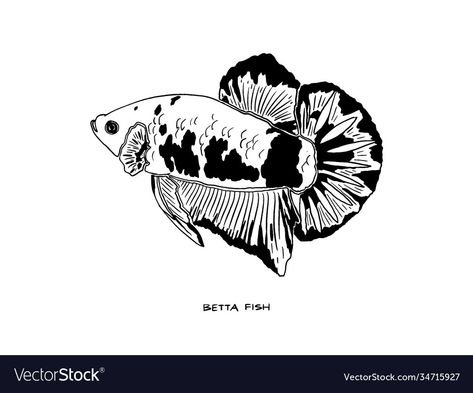 Fish Digital Art, Desain Editorial, Fish Vector, Fish Stock, Hand Drawn Vector Illustrations, Hand Drawn Vector, Betta Fish, Graffiti Art, Art Sketches