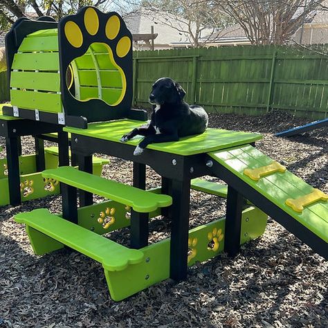 Outdoor Dog Area, Dog Boarding Ideas, Backyard Dog Area, Puppy Playground, Dog Play Area, Dog Friendly Backyard, Dog Backyard, Dog Boarding Facility, Colorful Hairstyles