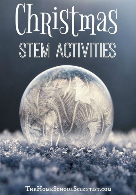 Steam Night, Christmas Homeschool, Christmas Stem Activities, Stem Christmas, Beaver Scouts, Winter Stem, Steam Lab, Science Building, Holiday Stem