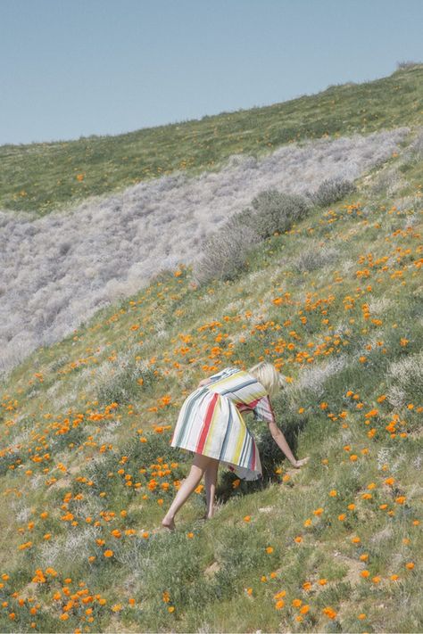 WHIT NY - young woman on hill with flowers by Jimmy Marble Fotografi Kota, Photographie Portrait Inspiration, Trik Fotografi, Foto Pose, 인물 사진, Fotografi Potret, Orange Flowers, Photography Inspo, Adele