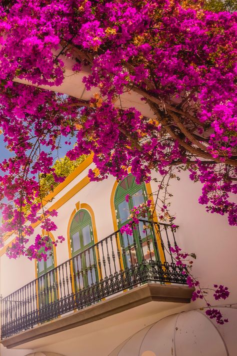 Avec un ensoleillement presque constant à l'année, des paysages étonnants, des spécialités culinaires délicieuses et une culture fascinante, l’Andalousie constitue l’une des meilleures destinations de vacances. Trouvez facilement votre futur séjour parmi nos offres à petits prix. #andalousie #espagne #tapas #vacances #soleil #marbella #malaga #séville #petitprix Seville Photography, Hotel Bali, Spain Aesthetic, Marbella Spain, Nature Art Painting, San Pedro, Seville, Travel Lifestyle, Marbella