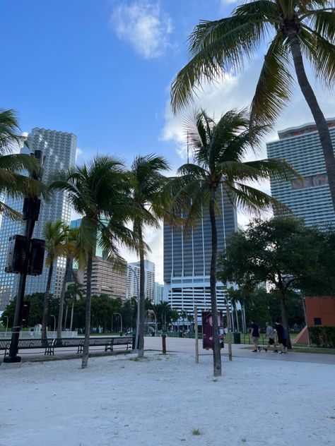 Palm trees with city in the background. Bayfront park in Miami next to the ocean Bayfront Park Miami, Travel Fun, Miami, Things To Do, Street View, Travel