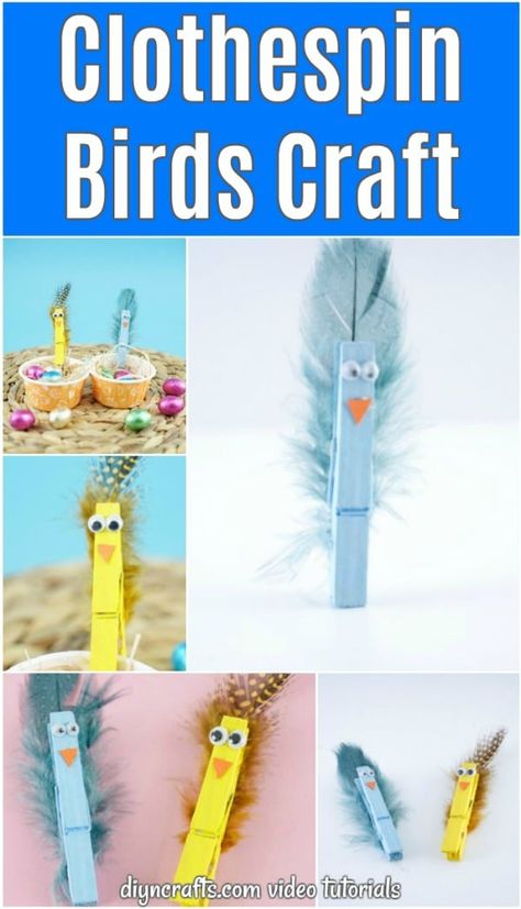 Make these adorable upcycled clothespin birds with just a few simple supplies. This easy tutorial shows everything you need and tips for painting with kids! #clothespinbirds #easterbirds #clothespincraft #eastercraft #easykidscraft #kidscraftforspring Teacher Wedding, T Shirt Tutorial, Small Clothes, Bird Crafts, Clothes Pin Crafts, Food Crafts, Bible Crafts, Easter Crafts For Kids, Easy Tutorial