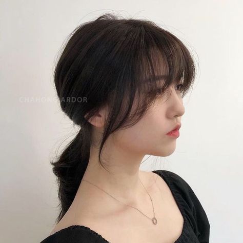 Korean Hair Color, Chestnut Hair Color, Hair Inspiration Long, Bangs With Medium Hair, Shot Hair Styles, Haircuts Straight Hair, Long Hair With Bangs, Hair Stylist Life, Hair Inspiration Color