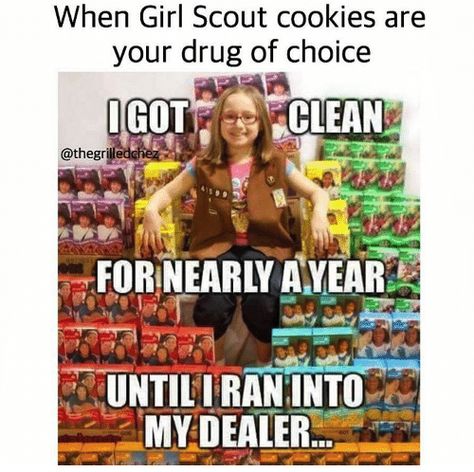 Girl Scout Cookie Meme, Gs Cookies, Camp Fire, Belly Laughs, Girl Scout Cookies, Can't Stop Laughing, Girl Scout, Girl Scouts, Bones Funny