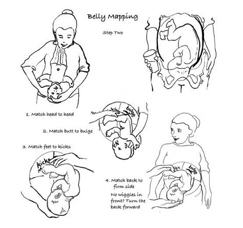 Belly Mapping Pregnancy, Unborn Baby, Baby Stuff, Baby Room, Written By, Labor, Yoga, Map, Memes